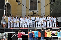 ukazky 2012__17.JPG